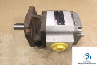 REXROTH-R900932267-INTERNAL-GEAR-PUMP3_675x450.jpg