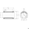 rexroth-star-0632-025-00-standard-linear-bushing-3