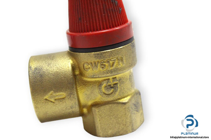 rf-532043-membrane-safety-valve-1