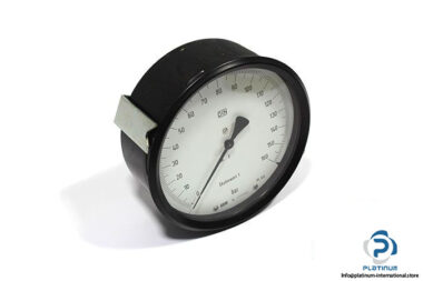 riegler-15087986-pressure-gauge-2