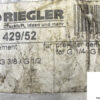 riegler-429_52-replacement-filter-element-2