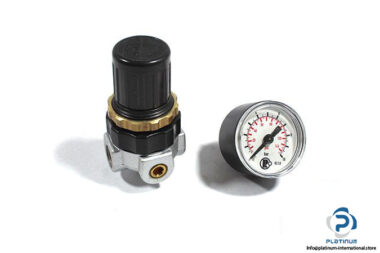 Riegler-482.20-C-pressure-regulator