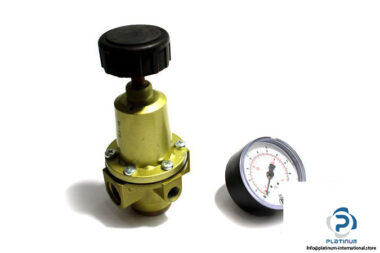 riegler-637.35-C-pressure-regulator