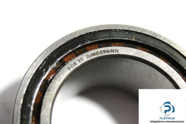 ringspann-fgk-35-freewheel-with-roller-bearing-1