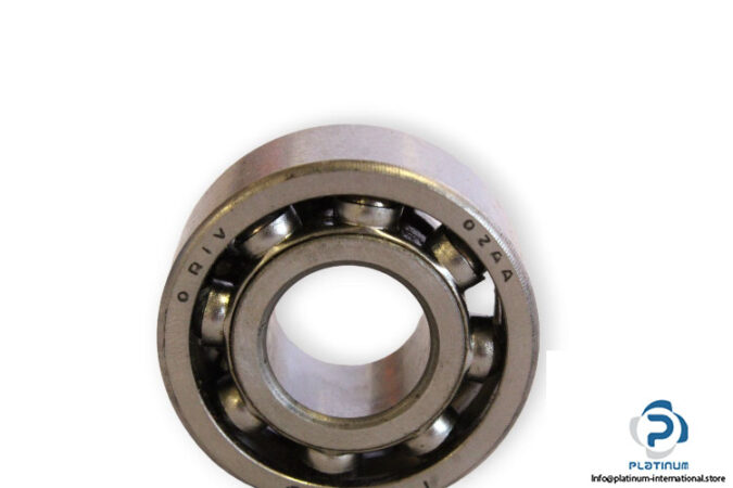 riv-4202-double-row-deep-groove-ball-bearing-1