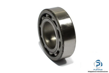 riv-4208-double-row-deep-groove-ball-bearing-1