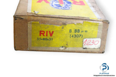 riv-4307-double-row-deep-groove-ball-bearing-1