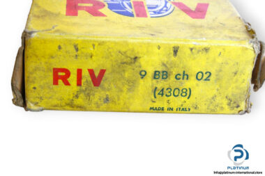 riv-4308-double-row-deep-groove-ball-bearing-1