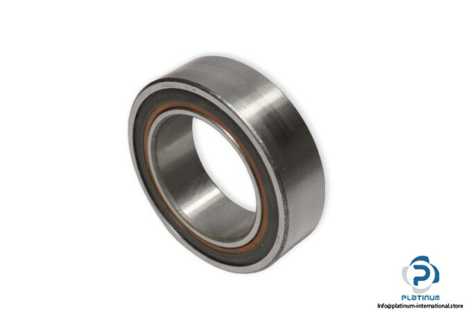 riv-63010-2RS-deep-groove-ball-bearing