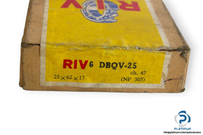 riv-NF-305-cylindrical-roller-bearing-(new)-(carton)-1