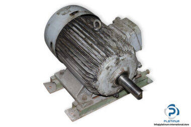 sever-1ZK160M2-3-phase-electric-motor-used