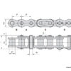 single-strand-roller-chain-1