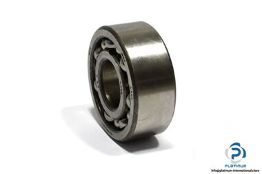 skf-4305-double-row-deep-groove-ball-bearing-1