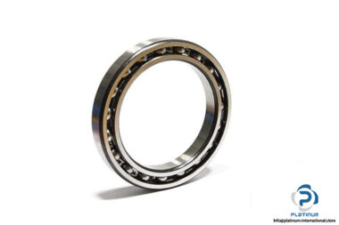 skf-61913-deep-groove-ball-bearing-1