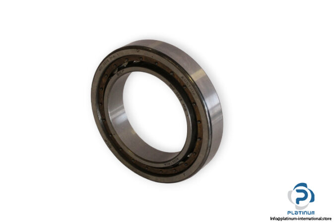 skf-NU-1013-MA-cylindrical-roller-bearing-(used)