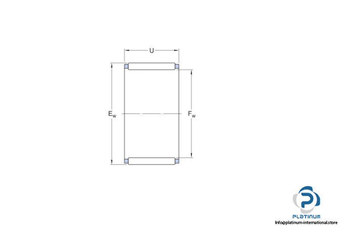 skf-RK-556020-needle-roller-bearing-(new)-(carton)-2