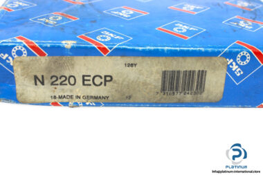 skf-n-220-ecp-cylindrical-roller-bearing-1