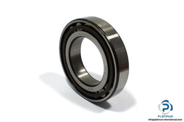 skf-n215ecp_c3-cylindrical-roller-bearing-1