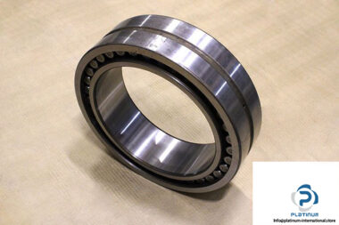 skf-NNU-4952-B-SPW33-double-row-cylindrical-roller-bearing