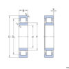 skf-nu-211-ecma_c3b20-cylindrical-roller-bearing-5