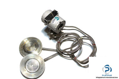 smar-LD303-pressure-transmitter-with-extension