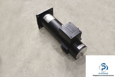 soelma-sm24-servo-motor-1