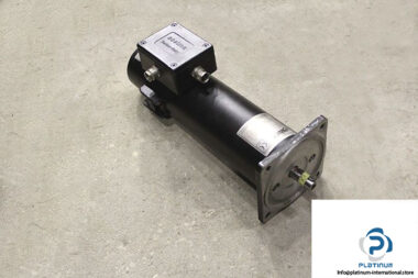 soelma-SM24-servo-motor