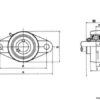 ss-ucfl207-two-bolt-flanged-unit-3