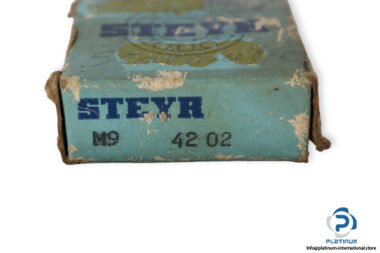 steyr-4202-double-row-deep-groove-ball-bearing-(new)-(carton)-1