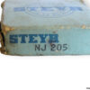 steyr-NJ-205-cylindrical-roller-bearing-(new)-(carton)-1