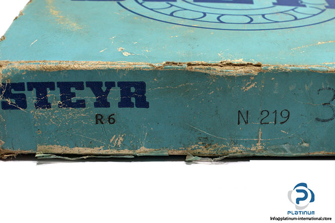steyr-n-219-cylindrical-roller-bearing-1