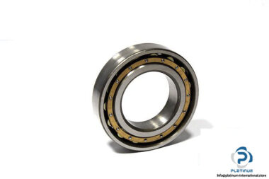 steyr-nf210m_c3-cylindrical-roller-bearing-1