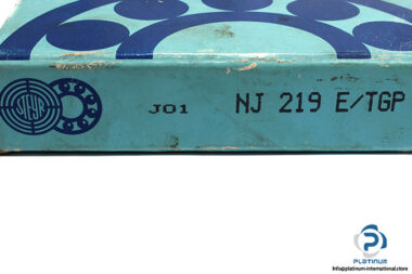 steyr-nj-219-e_tgp-cylindrical-roller-bearing-1