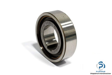 stieber-AS-25-freewheel-clutch-bearing