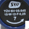 syr-tuv-sv-05-545-15-w-12-f-0-25-safety-valve-2