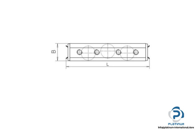 t-race-RV28-3-linear-roller-bearing-(new)-2