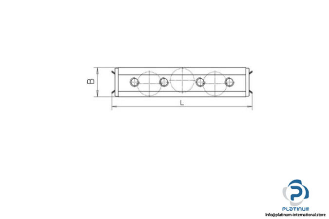 t-race-SP18-3-linear-roller-bearing-(new)-2