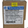 telemecanique-9001kr1gh13-push-button-2