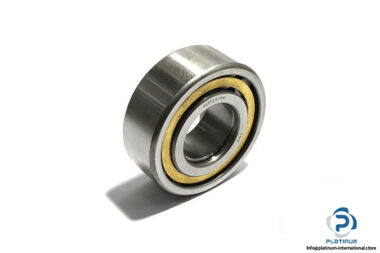 tmp-NUP2310M-cylindrical-roller-bearing