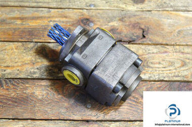 truninger-qx21-012_r-bim-internal-gear-pump-1