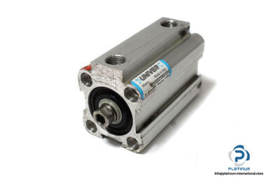 univer-W1000250020M-short-stroke-cylinder