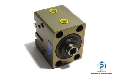 vega-CE063EGMGM_020-hydraulic-block-cylinder