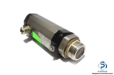 vega-D35G-01-EXB-pressure-transmitter-2