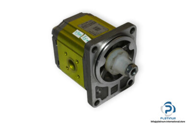 vivolo-X2P4942FSRA-gear-pump-(new)