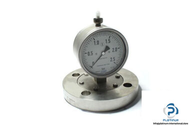 wika-EN1092-1-flanged-process-connection-with-pressure-gauge