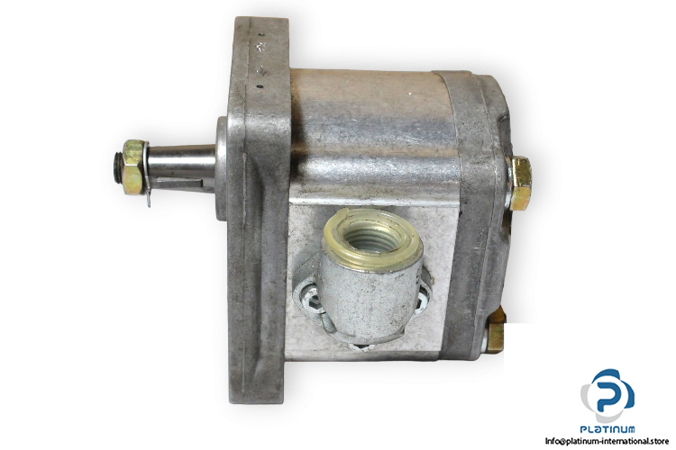 woerner-2.083_P-gear-pump-(used)-1