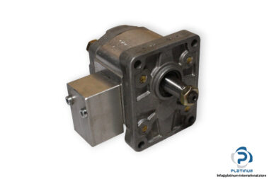 woerner-2.083_P-gear-pump-(used)