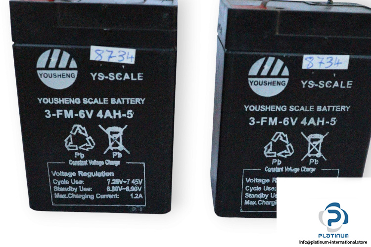 yousheng-3-FM-6V-4AH-5-scale-battery-used-2