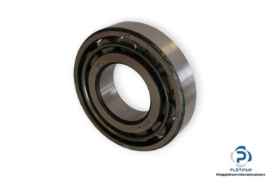 zkl-N-313-cylindrical-roller-bearing-(new)