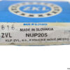 zkl-NUP205-cylindrical-roller-bearing-(new)-(carton)-1